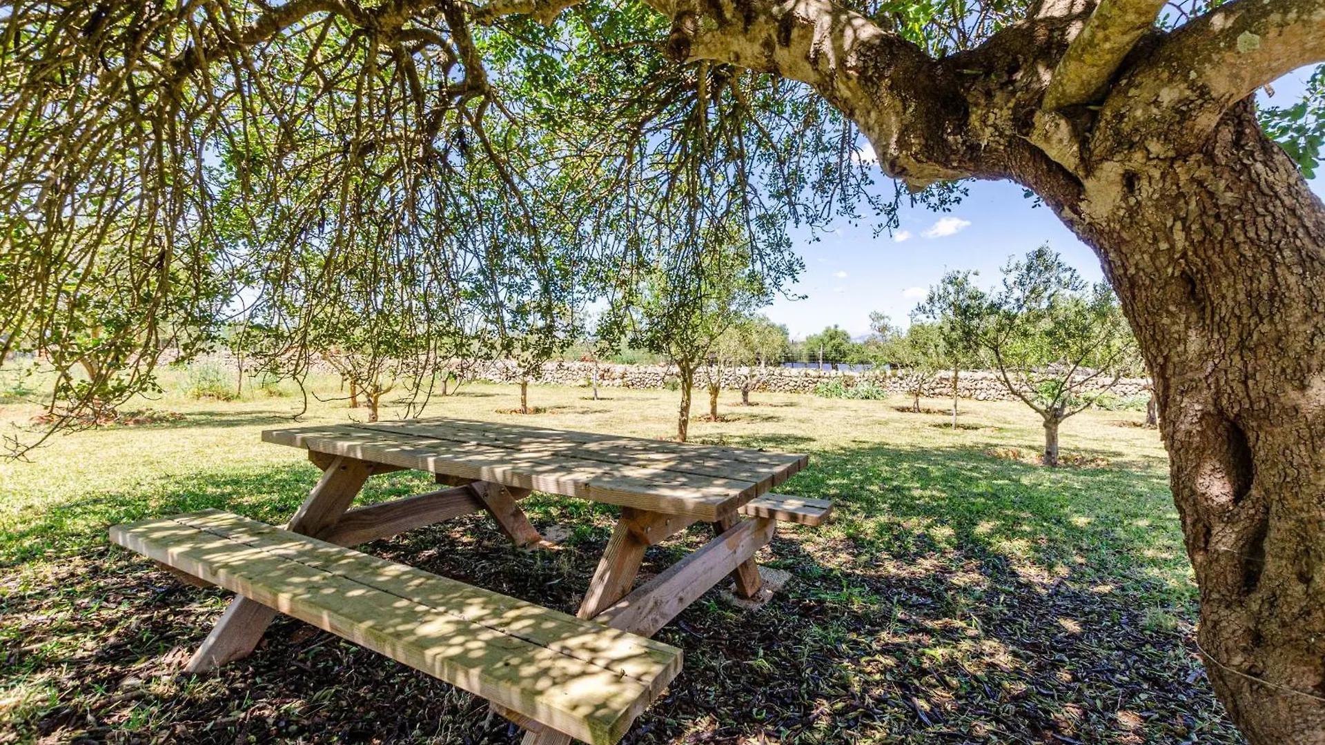 Yourhouse Agroturismo Can Porreti La Conillera リョレート・デ・ビスタレグレ スペイン